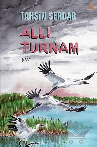 Allı Turnam – Tahsin Serdar – Cinius Yayınları kitap kapağı