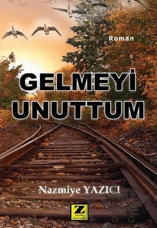 Gelmeyi Unuttum – Nazmiye Yazıcı – Zinde Yayıncılık kitap kapağı