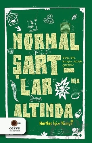 Normal Şartlar Altında – Burçin Acar Şeşen – Cezve Kitap kitap kapağı