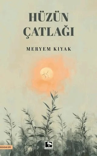 Hüzün Çatlağı – Meryem Kıyak – Çınaraltı Yayınları kitap kapağı