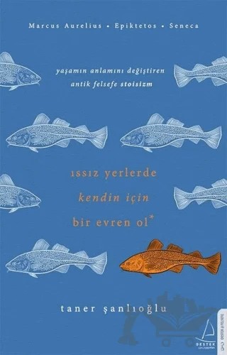 Issız Yerlerde Kendin İçin Bir Evren Ol – Taner Şanlıoğlu – Destek Yayınları kitap kapağı