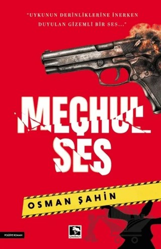 Meçhul Ses – Osman Şahin – Çınaraltı Yayınları kitap kapağı