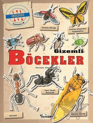 Gizemleri Öğrenelim - Gizemli Böcekler – Kathryn Senior – Teleskop Popüler Bilim kitap kapağı
