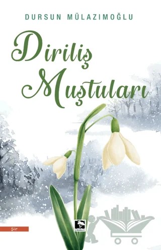 Diriliş Muştuları – Dursun Mülazımoğlu – Çınaraltı Yayınları kitap kapağı