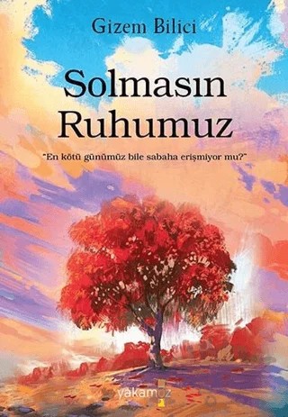Solmasın Ruhumuz – Gizem Bilici – Yakamoz Yayınevi kitap kapağı