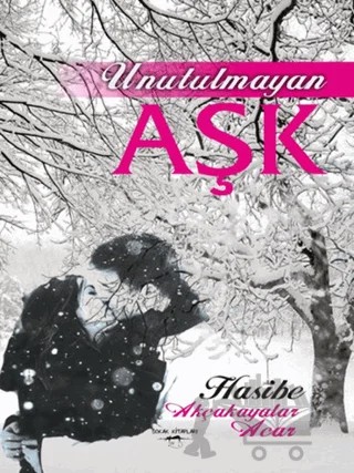 Unutulmayan Aşk – Hasibe Akçakayalar Acar – Sokak Kitapları Yayınları kitap kapağı