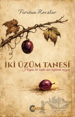 İki Üzüm Tanesi – Feridun Hocalar – Festival Yayıncılık kitap kapağı
