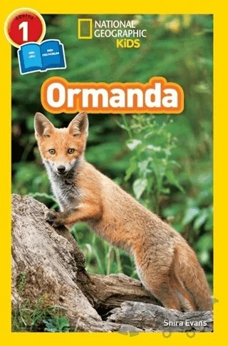 Ormanda - Seviye 1 – Shira Evans – Beta Kids kitap kapağı