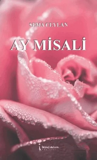 Ay Misali – Sema Ceylan – İkinci Adam Yayınları kitap kapağı