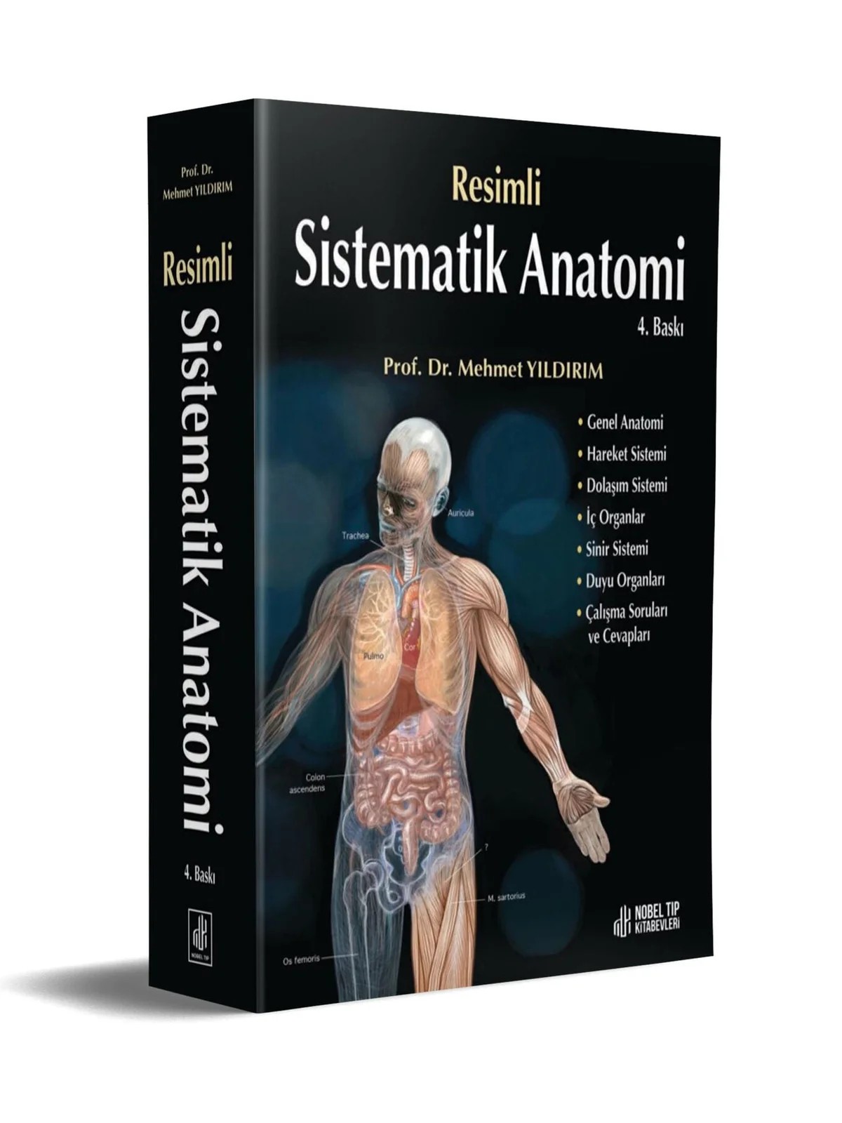 Resimli Sistematik Anatomi – Nobel Tıp Kitabevleri kitap kapağı