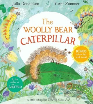 The Woolly Bear Caterpillar – Julia Donaldson – Pan Macmillan kitap kapağı