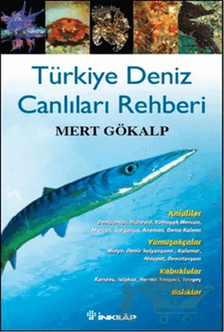Türkiye Deniz Canlıları Rehberi – Mert Gökalp – İnkılap Kitabevi kitap kapağı