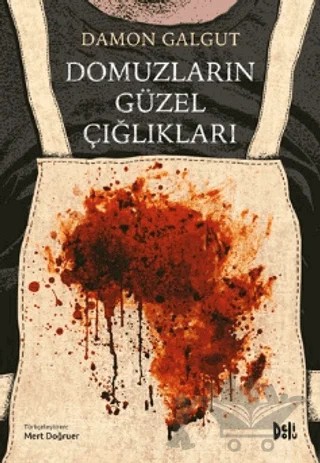Domuzların Güzel Çığlıkları – Damon Galgut – Delidolu kitap kapağı