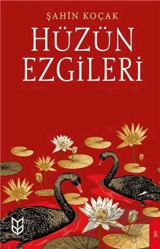 Hüzün Ezgileri – Şahin Koçak – Yason Yayıncılık kitap kapağı