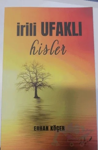 İrili Ufaklı Hisler – Erhan Köçer – Dls Yayınları kitap kapağı