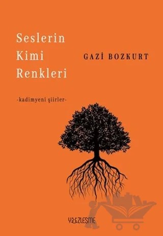 Seslerin Kimi Renkleri – Gazi Bozkurt – Yüzleşme Yayınları kitap kapağı