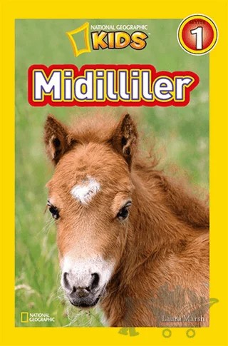 Midilliler – Laura Marsh – Beta Kids kitap kapağı