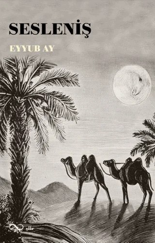 Sesleniş – Eyyub Ay – Bengisu Yayınları kitap kapağı