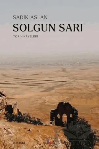 Solgun Sarı – Sadık Aslan – Lis Basın Yayın kitap kapağı