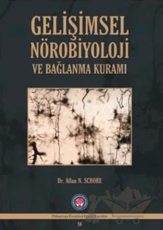 Gelişimsel Nörobiyoloji ve Bağlanma Kuramı – Allan N. Schore – Psikoterapi Enstitüsü kitap kapağı