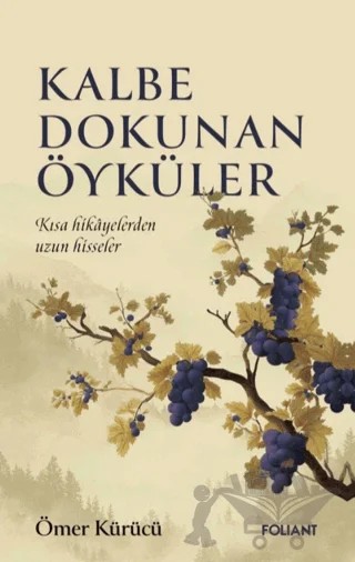 Kalbe Dokunan Öyküler – Ömer Kürücü – Foliant Yayınları kitap kapağı
