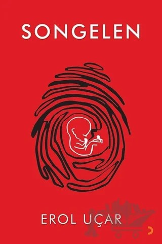 Songelen – Erol Uçar – Cinius Yayınları kitap kapağı