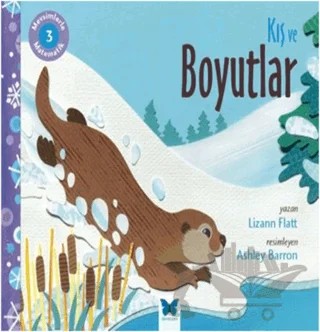 Mevsimlerle Matematik 3: Kış ve Boyutlar – Lizann Flatt – Mavi Kelebek Yayınları kitap kapağı