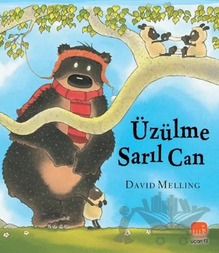 Üzülme Sarıl Can – David Melling – Uçan Fil Yayınları kitap kapağı