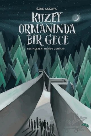 Kuzey Ormanında Bir Gece – Özge Akkaya – Paraşüt Kitap kitap kapağı