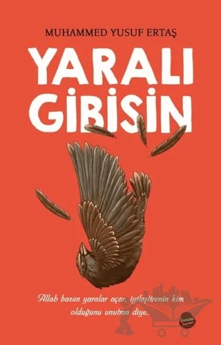 Yaralı Gibisin – Muhammed Yusuf Ertaş – Sinada Kitap kitap kapağı