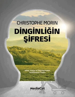 Dinginliğin Şifresi – Christophe Morin – MediaCat Kitapları kitap kapağı
