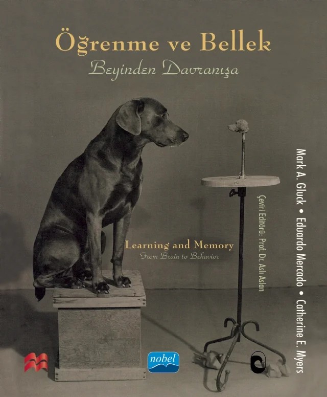 ÖĞRENME VE BELLEK - Beyinden Davranışa / LEARNING AND MEMORY - From Brain To Behavior – Mark A. Gluck, Eduardo Mercado, Catherine E. Myers – Nobel Akademik Yayıncılık kitap kapağı