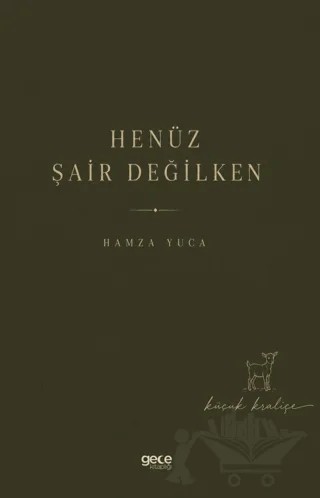 Henüz Şair Değilken – Hamza Yuca – Gece Kitaplığı kitap kapağı