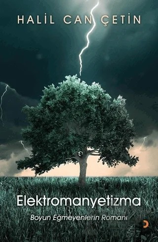 Elektromanyetizma – Halil Can Çetin – Cinius Yayınları kitap kapağı