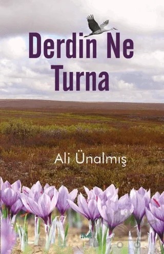 Derdin Ne Turna – Ali Ünalmış – İzan Yayıncılık kitap kapağı