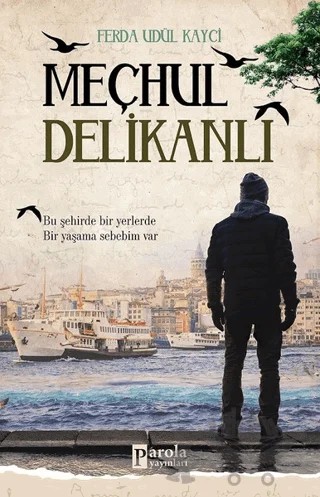 Meçhul Delikanlı – Ferda Udül Kayci – Parola Yayınları kitap kapağı
