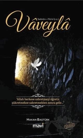 Vaveyla – Hakan Baştürk – Mavi Yayıncılık kitap kapağı