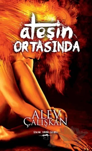 Ateşin Ortasında – Alev Çalışkan – Sokak Kitapları Yayınları kitap kapağı
