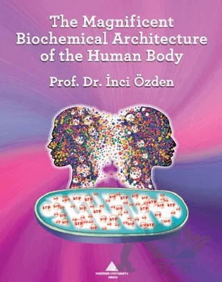 The Magnificent Biochemical Architecture of the Human Body – İnci Özden – Yeditepe Üniversitesi Yayınevi kitap kapağı