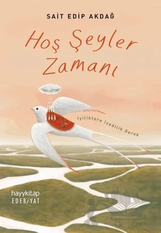 Hoş Şeyler Zamanı – Sait Edip Akdağ – Hayykitap kitap kapağı