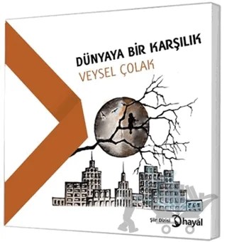 Dünyaya Bir Karşılık – Veysel Çolak – Hayal Yayınları kitap kapağı