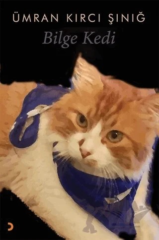 Bilge Kedi – Ümran Kırcı Şınığ – Cinius Yayınları kitap kapağı