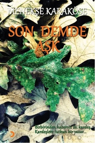 Son Demde Aşk – Menekşe Karaköse – Cinius Yayınları kitap kapağı