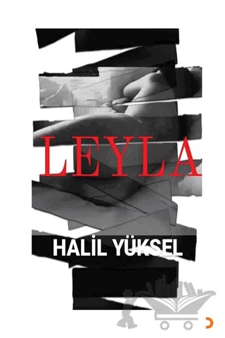 Leyla – Halil Yüksel – Cinius Yayınları kitap kapağı
