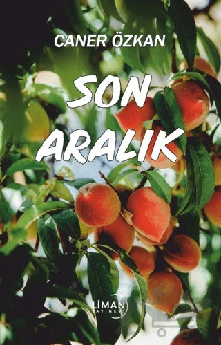 Son Aralık – Caner Özkan – Liman Yayınevi kitap kapağı