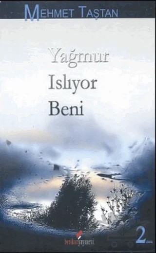 Yağmur Islıyor Beni – Mehmet Taştan – Berikan Yayınevi kitap kapağı
