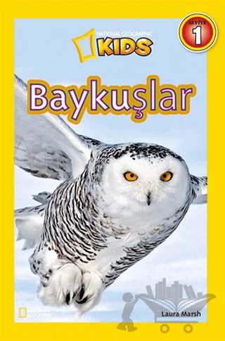 Baykuşlar – Laura Marsh – Beta Kids kitap kapağı