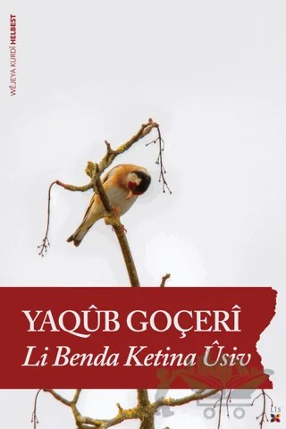 Li Benda Ketina Usiv – Yaqub Goçeri – Lis Basın Yayın kitap kapağı