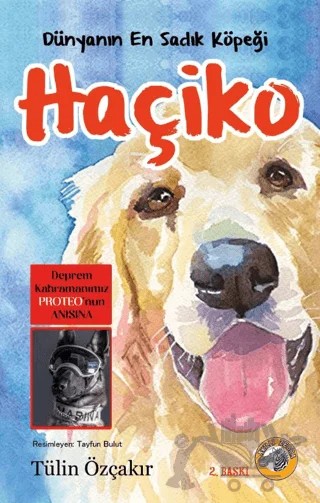 Dünyanın En Sadık Köpeği Haçiko – Tülin Özçakır – Akıllı Zebra kitap kapağı