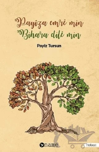 Payiza Emre Min Bihara Dile Min – Payiz Tursun – Name Yayınları kitap kapağı